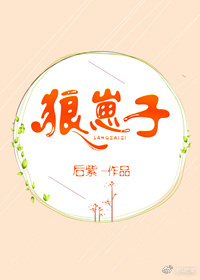 龙牌之谜云播在线观看