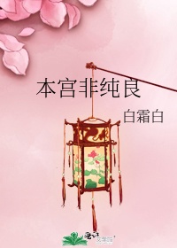 莹瑶传第二书包