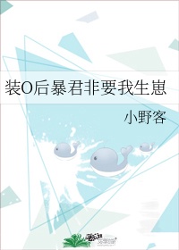 赵晓东陈红小说