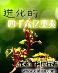 淘宝a视频分类国产
