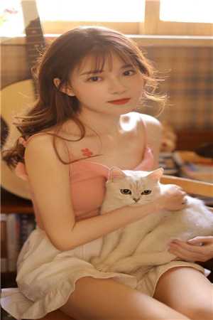 1204手机看片