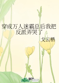 bt种子天堂
