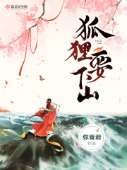 蝶调网