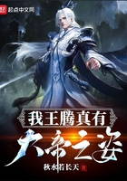 缠缚南枝小说