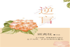 《龙拳小子》免费观看
