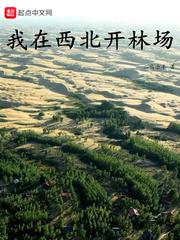 闪婚总裁花式宠妻