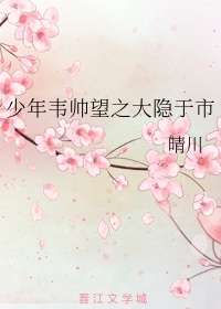 坏老人的春天敏静九章