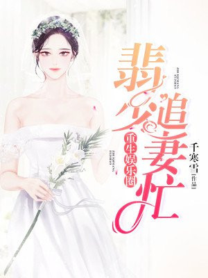 藏海花txt