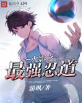 星火微芒小说
