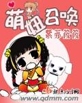 九子夺嫡小说