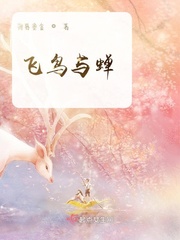 网络视频下载器