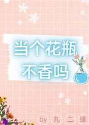 沙发套