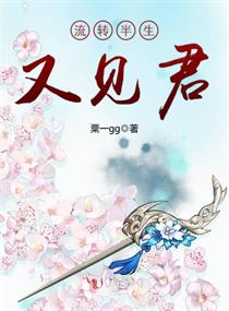 杨家将外传穆桂英被俘