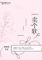 公主殿下1v2