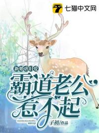 W.W.W打扑克视频