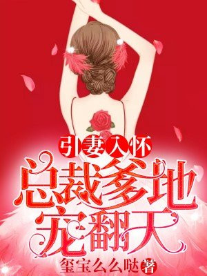 海贼王同人邪恶小说
