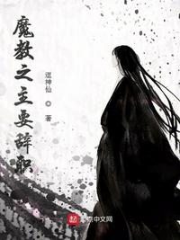 二婚进行时