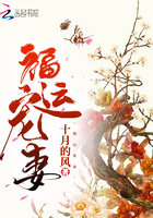 权财txt下载