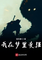 爱情公寓第一季免费观看完整版