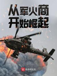 烽火重生之风流少帅