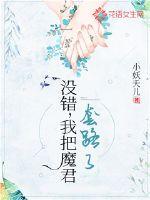 小姐姐直播破解版
