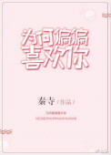 丰年经的继中文21