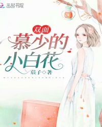 yy480高清影院免费