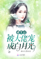 白莫菲