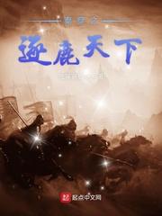 十一年夏至明开夜合