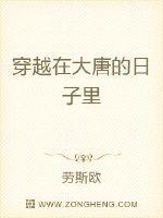 jy灌溉系统npc御书房