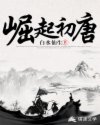 赘婿岳风免费