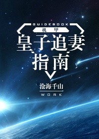 灿烂时光小说阅读