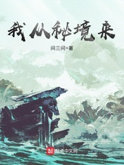 甄子丹 电影