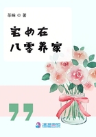 荡妻小说