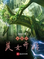 电视剧流金岁月全集免费观看
