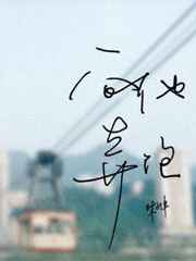 偷偷藏不住小说全文
