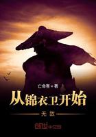 手机在线观看国产精选免费