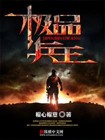 无尽的爱小说