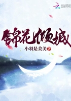 最美情侣中文字幕视频
