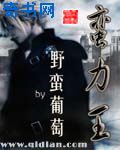 黎朔赵锦辛writeas