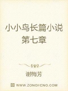 竹已的全部小说百度云
