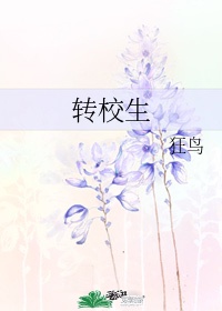 2024理论片免费92观看