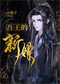 将夜2小说