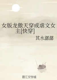 有美人兮