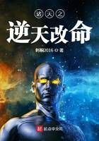 盗情小说