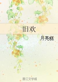 民国投机者小说