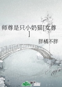 亲情会3