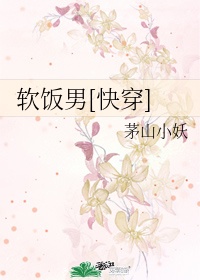 秋霞播放器