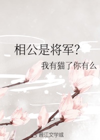 韩国电影朋友