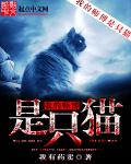 龙泽罗拉种子